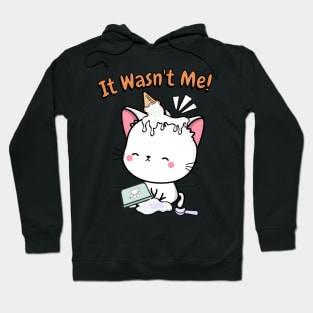 Funny angora cat got caught stealing ice cream Hoodie